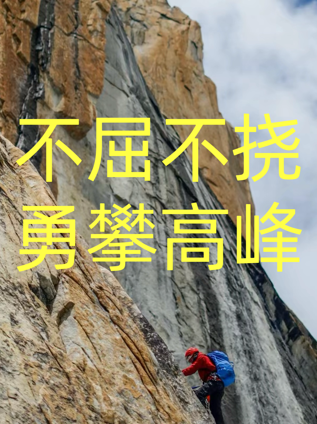 关于阿拉维斯不败，靠实力证明征途艰难的信息