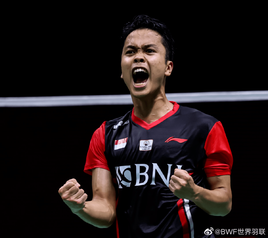 马来西亚队逆转丹麦队，戴资颖状态火热的简单介绍