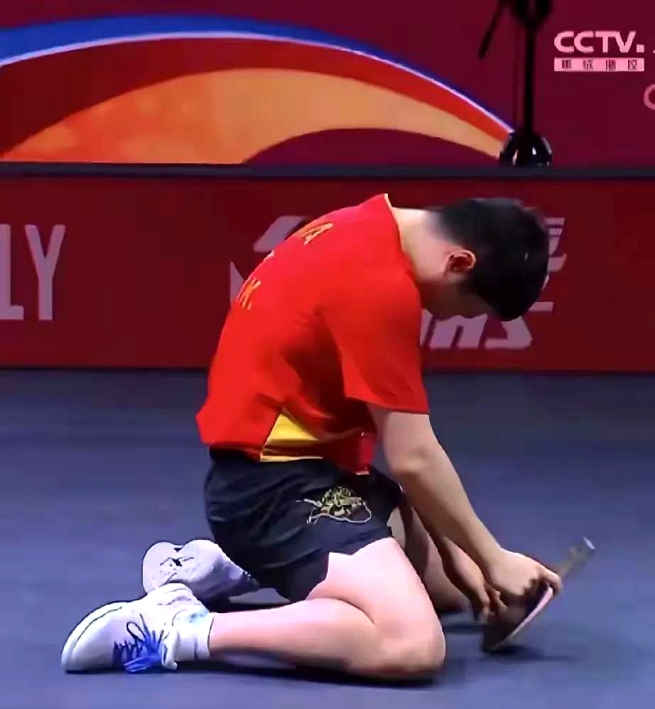 关于奥地利队碾压日本队，许昕惊艳四座的信息